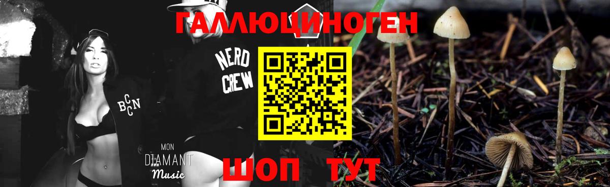 Галлюциногенные грибы Cubensis  купить закладку  Курчатов  Вход с VPN 