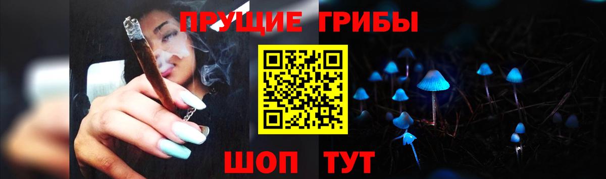 Галлюциногенные грибы Cubensis Курчатов